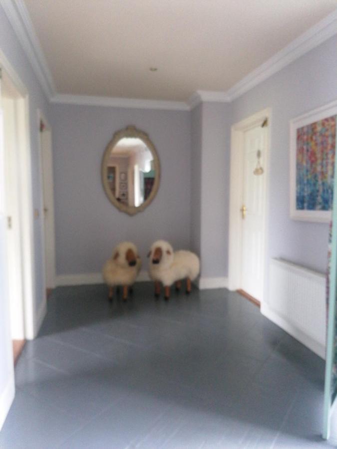 Fiuise B&B Dingle Bagian luar foto