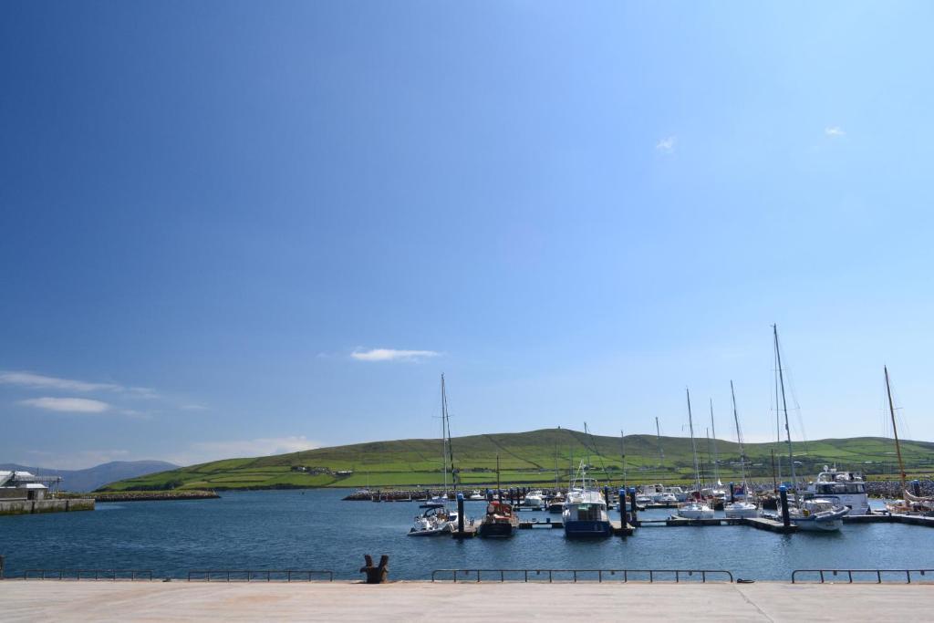 Fiuise B&B Dingle Bagian luar foto