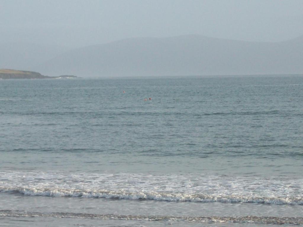 Fiuise B&B Dingle Bagian luar foto