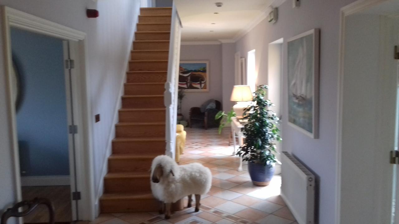Fiuise B&B Dingle Bagian luar foto