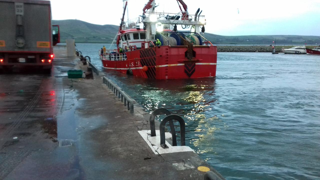 Fiuise B&B Dingle Bagian luar foto