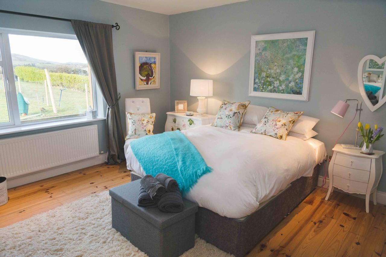 Fiuise B&B Dingle Bagian luar foto